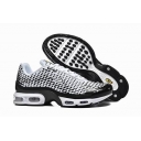 china cheap Nike Air Max TN plus shoes free shipping