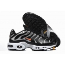 china cheap Nike Air Max Plus TN  shoes