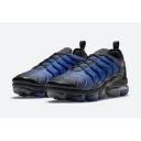 discount Nike Air VaporMax Plus men shoes wholesale