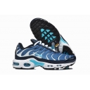 Nike Air Max Plus TN shoes wholesale in china
