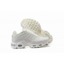 china cheap Nike Air Max Plus TN shoes