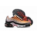 china cheap Nike Air Max Plus TN shoes