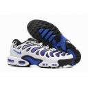 china cheap Nike Air Max Plus TN shoes