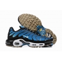 china cheap Nike Air Max Plus TN sneakers online