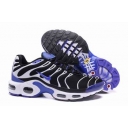 china cheap Nike Air Max TN shoes wholesale online