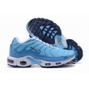 wholesale Nike Air Max Plus TN men shoes