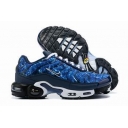 wholesale Nike Air Max Plus TN men shoes