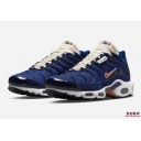 wholesale Nike Air Max Plus TN men shoes