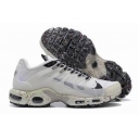 wholesale Nike Air Max Plus TN men shoes