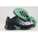 cheap Nike Air Max Plus TN shoes wholesale in china