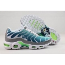 cheap Nike Air Max Plus TN shoes wholesale in china