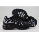 cheap Nike Air Max Plus TN shoes wholesale in china