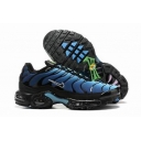 china wholesale Nike Air Max Plus TN shoes free shipping