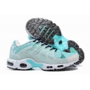 china wholesale Nike Air Max Plus TN shoes free shipping