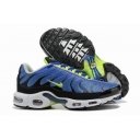 china wholesale Nike Air Max Plus TN shoes free shipping