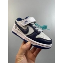 china cheap nike dunk sb kid shoes free shipping