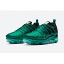 wholesale Nike Air VaporMax Plus shoes free shipping