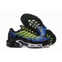 china cheap Nike Air Max Plus TN shoes