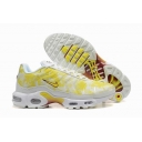 china cheap Nike Air Max Plus TN shoes