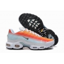 china cheap Nike Air Max Plus TN shoes