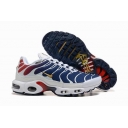 china cheap Nike Air Max Plus TN shoes