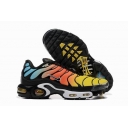 buy wholesale Nike Air Max TN shoes in china