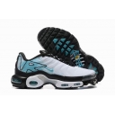 buy wholesale Nike Air Max TN shoes in china