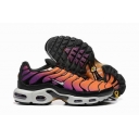 buy wholesale Nike Air Max TN shoes in china