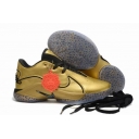 cheap Nike Lebron james shoes wholesale in china