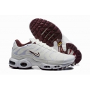 china cheap Nike Air Max TN Plus shoes free shipping