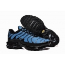 china cheap Nike Air Max TN Plus shoes free shipping