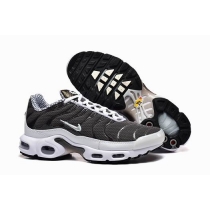 china cheap Nike Air Max TN Plus shoes free shipping