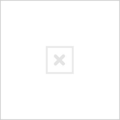 sb dunk elite