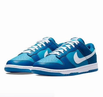 cheap nike dunk men shoes online