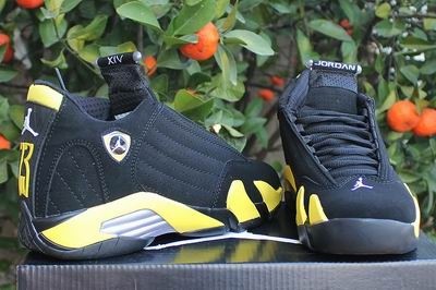 nike jordan 14 shoes