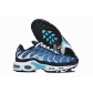 Nike Air Max Plus TN shoes wholesale in china