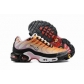 china cheap Nike Air Max Plus TN shoes