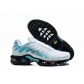 cheap  Nike Air Max Plus TN  shoes online