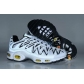 china cheap Nike Air Max TN shoes wholesale online