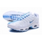 china cheap Nike Air Max TN shoes wholesale online