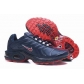 china cheap Nike Air Max TN shoes wholesale online