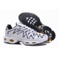 china cheap Nike Air Max TN shoes wholesale online