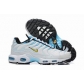 bulk wholesale Nike Air Max Plus TN sneakers free shipping