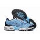 bulk wholesale Nike Air Max Plus TN sneakers free shipping