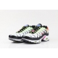 cheap  wholesale Nike Air Max Plus TN shoes online from china