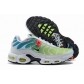 china cheap Nike Air Max Plus TN shoes