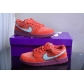 china cheap nike dunk sb shoes for women