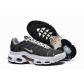china cheap Nike Air Max TN Plus shoes free shipping