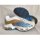 wholesale Nike Air Max plus TN3 in china